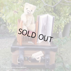 画像1: 【ウィットニー限定】セオドア　8.5cm  828番