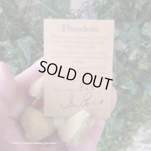 画像5: 【ウィットニー限定】セオドア　8.5cm  828番