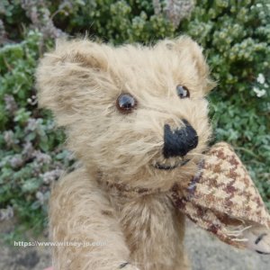 画像5: ウィットニー40周年記念☆ メリーソート　【ウィットニー限定】 ティミー 20cm 83番