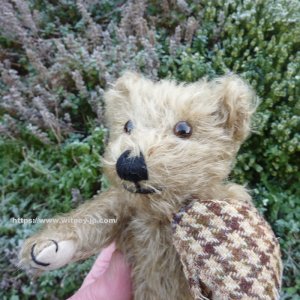 画像3: ウィットニー40周年記念☆ メリーソート　【ウィットニー限定】 ティミー 20cm 83番