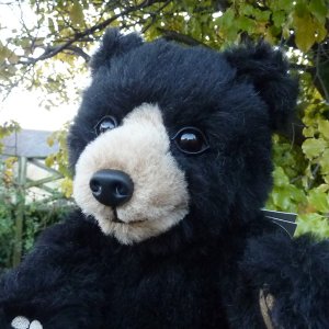 画像3: 2026年発売☆ メリーソート ウィニペグ テディベア　33cm  7番