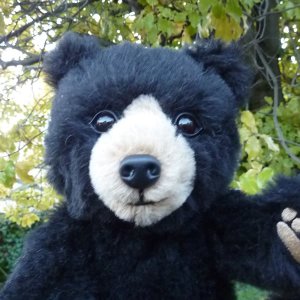 画像2: 2026年発売☆ メリーソート ウィニペグ テディベア　33cm  7番