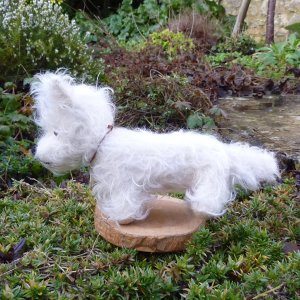 画像4: 首輪無しにつき、特別価格☆【ウィットニー限定】ボビー 17cm　(画像あり）