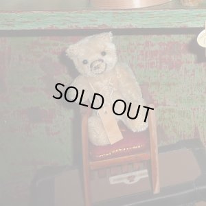 画像1: 【ウィットニー限定】セオドア　8.5cm  877番