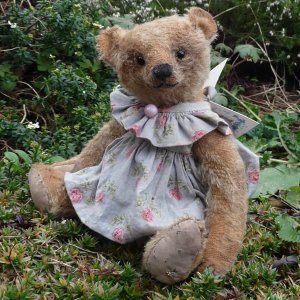 画像1: 1点もの☆ Aggie Fennel by Mary 22cm（フォーゲットミーノット）