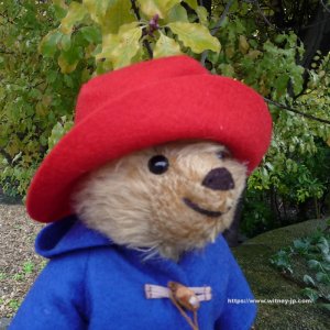 画像3: メリーソート リトルパディントン クラシックエディション 20cm 565番