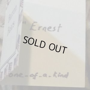 画像7: 1点もの ☆ Ernest by Sharon Barron 20cm（米）