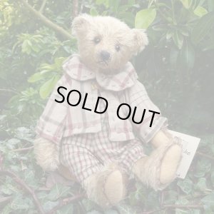 画像1: 1点もの ☆ Ernest by Sharon Barron 20cm（米）