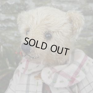 画像5: 1点もの ☆ Ernest by Sharon Barron 20cm（米）