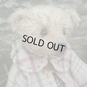 画像6: 1点もの ☆ Ernest by Sharon Barron 20cm（米）