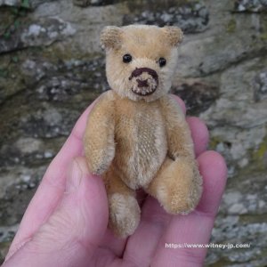 画像5: 【ウィットニー限定】セオドア　8.5cm  815番