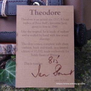 画像6: 【ウィットニー限定】セオドア　8.5cm  815番