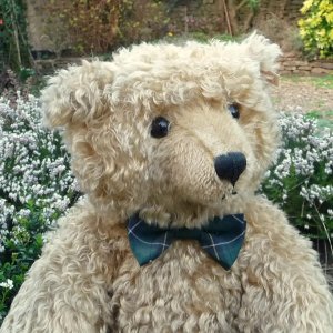 画像3: おすすめです☆ 1997年発売☆シュタイフ社 ウィットニー限定「ヘンダーソン」55cm 97番