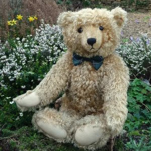 画像1: おすすめです☆ 1997年発売☆シュタイフ社 ウィットニー限定「ヘンダーソン」55cm 97番