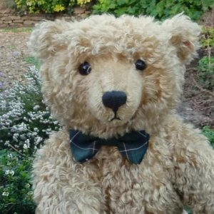 画像2: おすすめです☆ 1997年発売☆シュタイフ社 ウィットニー限定「ヘンダーソン」55cm 97番