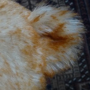 画像9: 1点もの ☆ Quinton by Sharon Barron 42cm（米）