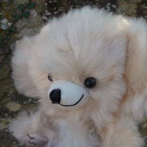 画像5: 2025年11月発売☆ メリーソート  チーキー・リトルマカロン・バニラ 18cm 66番