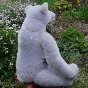 画像3: 初登場！ イアンさんオススメの作家様☆ 2012年☆ Balmoral 48cm by Gregory Gyllenship（英）6番