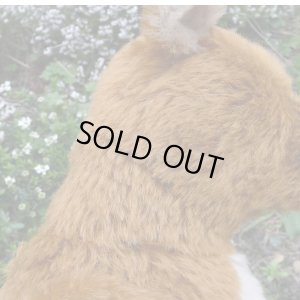 画像9: 初登場！ イアンさんオススメの作家様☆ 2010年☆ Harry 49cm by Gregory Gyllenship（英）