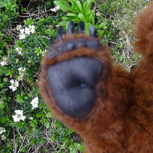 画像8: イアンさん絶賛！2016年☆ Philipp 22 cm by Ekaterina Bushmakina（ロシア）