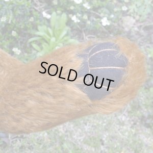 画像7: 初登場！ イアンさんオススメの作家様☆ 2010年☆ Harry 49cm by Gregory Gyllenship（英）