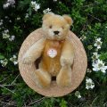Steiff Blond Original Teddy 15cm 推定1960年代　（ビンテージ）