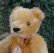 画像5: Steiff Blond Original Teddy 15cm 推定1960年代　（ビンテージ） (5)