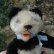 画像2: 13cm Steiff Panda 推定1951年〜1961年頃　（ビンテージ） (2)