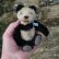 画像5: 13cm Steiff Panda 推定1951年〜1961年頃　（ビンテージ） (5)