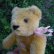 画像5: Steiff Blond Original Teddy 15cm 推定1960年代　（ビンテージ） (5)