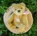 画像1: Steiff Blond Original Teddy 15cm 推定1960年代　（ビンテージ） (1)