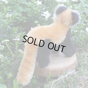 画像3: イアンさんのお気に入り☆ 10cm Steiff Pandy Red Panda 1963年-1964年頃　（ビンテージ）