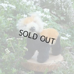 画像1: イアンさんのお気に入り☆ 10cm Steiff Pandy Red Panda 1963年-1964年頃　（ビンテージ）