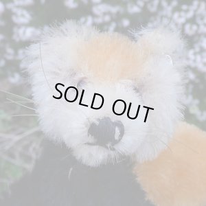 画像5: イアンさんのお気に入り☆ 10cm Steiff Pandy Red Panda 1963年-1964年頃　（ビンテージ）