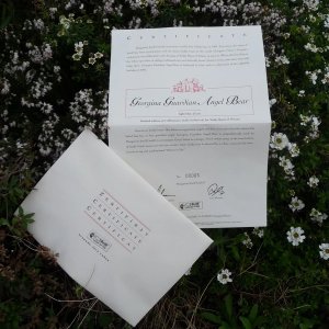 画像10: シュタイフ　【ウィットニー限定】 ジョージーナ・カーディアン・エンジェル・ベア 25cm シリアルナンバー 5番