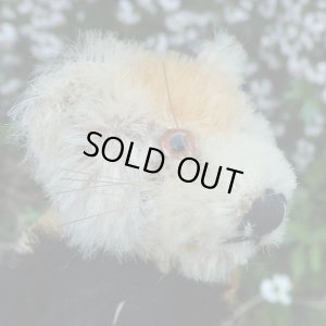 画像7: イアンさんのお気に入り☆ 10cm Steiff Pandy Red Panda 1963年-1964年頃　（ビンテージ）