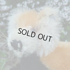 画像6: イアンさんのお気に入り☆ 10cm Steiff Pandy Red Panda 1963年-1964年頃　（ビンテージ）