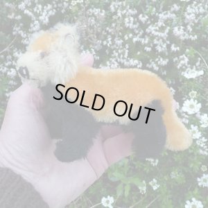 画像4: イアンさんのお気に入り☆ 10cm Steiff Pandy Red Panda 1963年-1964年頃　（ビンテージ）