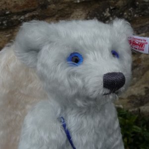 画像7: シュタイフ　【ウィットニー限定】 ジョージーナ・カーディアン・エンジェル・ベア 25cm シリアルナンバー 7番