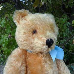 画像3: エクセレントコンディション☆ Steiff Yellow-Blond Original Teddy 37cm 推定1950年代　（ビンテージ）