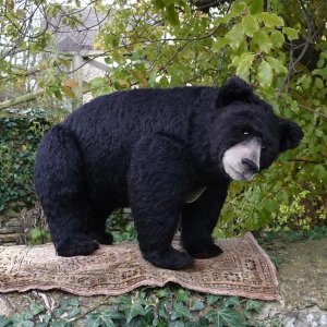 画像4: イアンさん絶賛☆ 2010年 ☆ Sara 48cm by Gisela Hofmann（ドイツ）