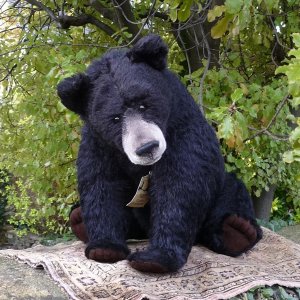 画像1: イアンさん絶賛☆ 2010年 ☆ Sara 48cm by Gisela Hofmann（ドイツ）