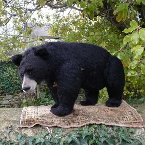 画像3: イアンさん絶賛☆ 2010年 ☆ Sara 48cm by Gisela Hofmann（ドイツ）