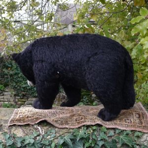 画像7: イアンさん絶賛☆ 2010年 ☆ Sara 48cm by Gisela Hofmann（ドイツ）