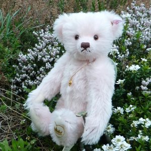 画像1: 1点限り☆  2005年 シュタイフ イングランドローズ 30cm 1331番 イギリス限定品