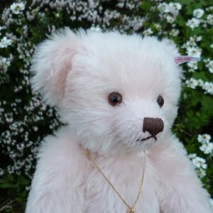 画像5: 1点限り☆  2005年 シュタイフ イングランドローズ 30cm 1331番 イギリス限定品