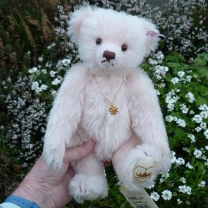 画像3: 1点限り☆  2005年 シュタイフ イングランドローズ 30cm 1331番 イギリス限定品