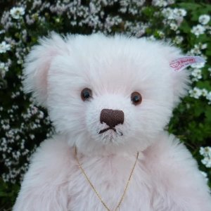 画像4: 1点限り☆  2005年 シュタイフ イングランドローズ 30cm 1331番 イギリス限定品