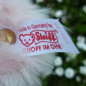 画像9: 1点限り☆  2005年 シュタイフ イングランドローズ 30cm 1331番 イギリス限定品