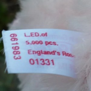 画像10: 1点限り☆  2005年 シュタイフ イングランドローズ 30cm 1331番 イギリス限定品